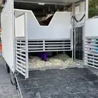نقل خيل عربه نقل خيل