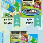 عرض يومين مسبح نافورة ومسدس فقاعات 89 ريال
