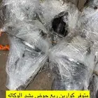 كارونه هايلكس ربع حوض جي اكس ار داتسون