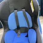 كارسيت