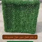 شبك الساتر السياج الأخضر
