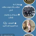 ذبايح ثلاجه او مناسبات