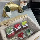 بذور لزراعة بالجمله