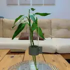 للبيع مرايا دائري