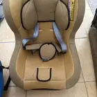 كارسيت