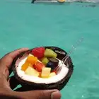 رحلات سباحه و صيد و نزهه بحريه