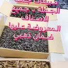 عروض مروكي بيور جملة