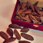 عود مروكي محسن يجمل