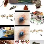 شركة رش الصراصير بالمدينة المنورة 0536591696
