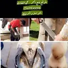 بيطار خيول بأقل الأسعار