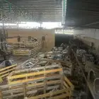 جير فورد ماركيز