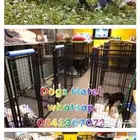 فندقة كلاب و تدريب Dogs Hotel