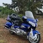 قولد وينق