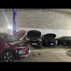 مكينه كادينزا اوبتيما سيراتو كرنفال 2018 2019 شد بلد