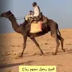 رحول للبيع الخرمه