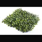 عشب صناعي جداري بأقل الأسعار