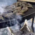 عود كمبودي تايقر