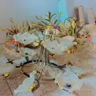 نجفات ( ابجورات) للبيع