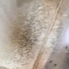 سكس 24 مديل 78 تم البيع الله يبارك له