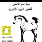 مربط سمو الاصايل