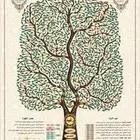 تصميم شجرة العائلة بإحترافية عالية