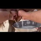 ناقه ساحليه فارعه حلابه ماشاءالله