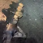 للبيع كوارين 10 و 9 دفلوك باترول