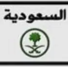 لوحة سيارة مميزة معنى ورقم زوجي (ق ل ل 100)