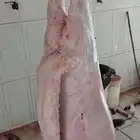 ذبايح خروف سواكني وغنم حري وطبخ مع التوصيل