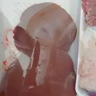 كبدة غنم طازجة