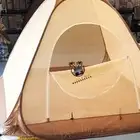 ناموسيات جوده في الشبك وخيام