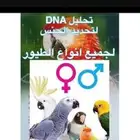 تحليل DNA للطيور