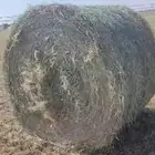 اللبيع لفات. رودس. اوتمتاتك. اوشاره. وزن. ثقيل وصافي