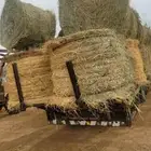 اللبيع. لفات.رودس.كوم.نظيف.شد سعودي. طيب العداد. 1000لفه