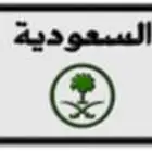 لوحة لمى 93 ل م ى 93 مميزة للبيع