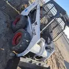 بوبكات للايجار نيوم