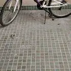 سيكل bike