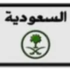 لوحة سيارة مميزة ورقم فردي (د ص م 6)