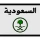 لوحة سيارة مميزة معنى ورقم زوجي صيدها (ص ي د 15)