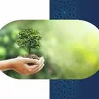 تصميم التقارير السنوية والكتيبات والشعارات والبرشورات