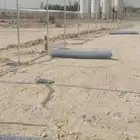 شبوك مزارع  حكوميه