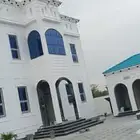 آليا سه ملونه بديال الحجر الطبيعي تغنيك عن آليا ةلسود