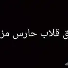 سواق قلاب حارس مزارع يبحث عن عمل