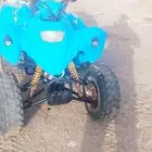 دباب للبيع 110