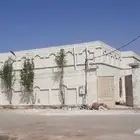 الياسه ملونه شبيه الحجر طبيعي
