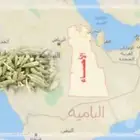 معلمة  معلمة خصوصيه  معلمة تأسيس  معلمة مصريه