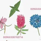تصاميم تطريز مكينة تطريز برنامج ويلكوم