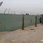 جميع انواع النخيل عربي وامريكي