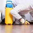 شركة مكافحة حشرات بالطايف رش مبيدات جميع الحشرات بالطايف