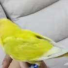 روز اليف مع الصغير والكبير
